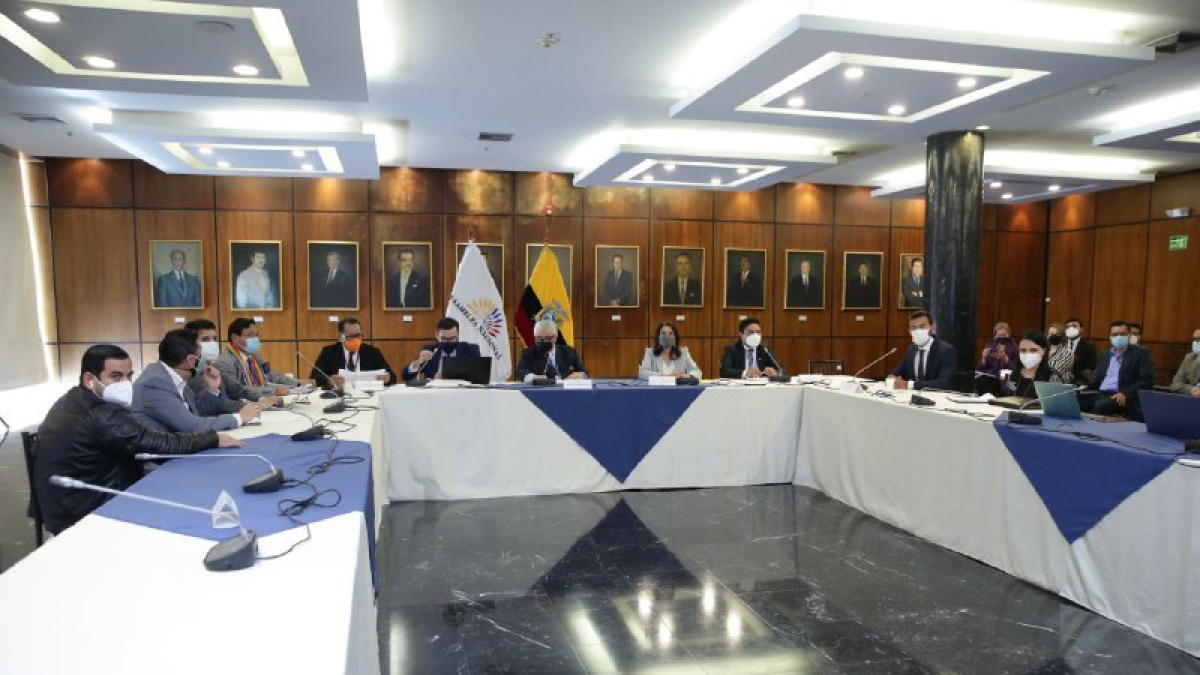 La Comisión del Derecho a la Salud y Deporte de la Asamblea, en pleno.