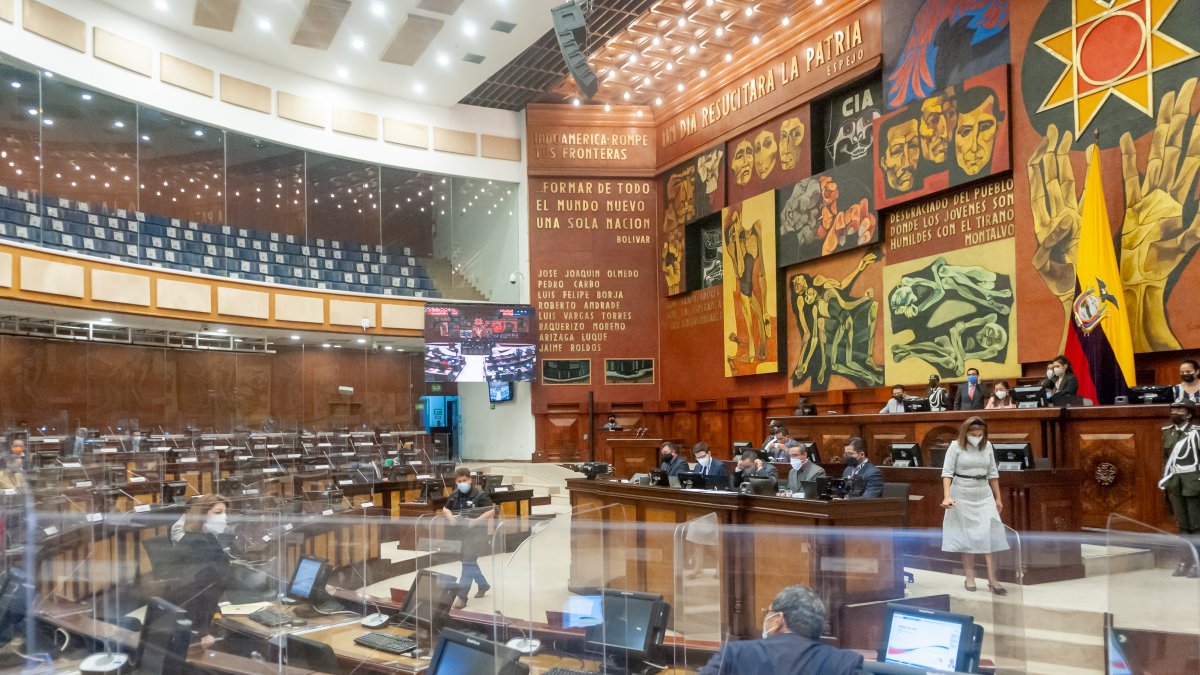 La Asamblea Nacional sesionó el pasado 19 de agosto bajo la modalidad semipresencial.