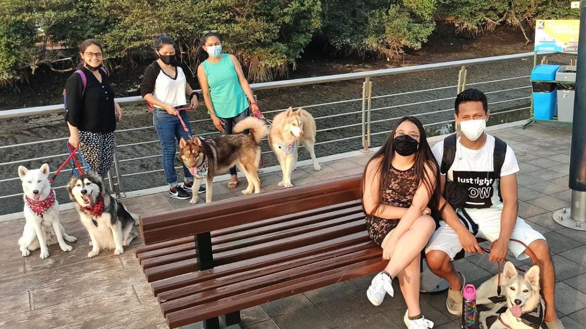 Los miembros del club realizan eventos de integración y también de apoyo a las causas animalistas.