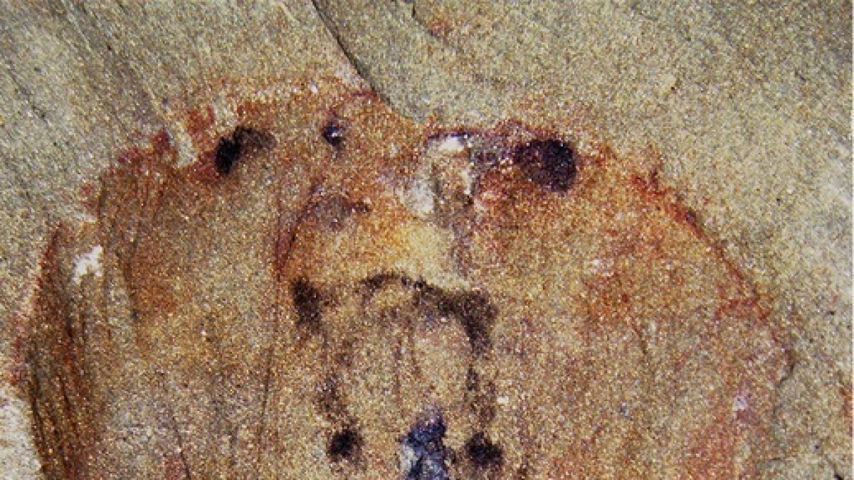 Vista de la parte anterior del fósil fotografiada con luz directa y mostrando las huellas oscuras de los ojos laterales. La barra de escala equivale a 2 milímetros.