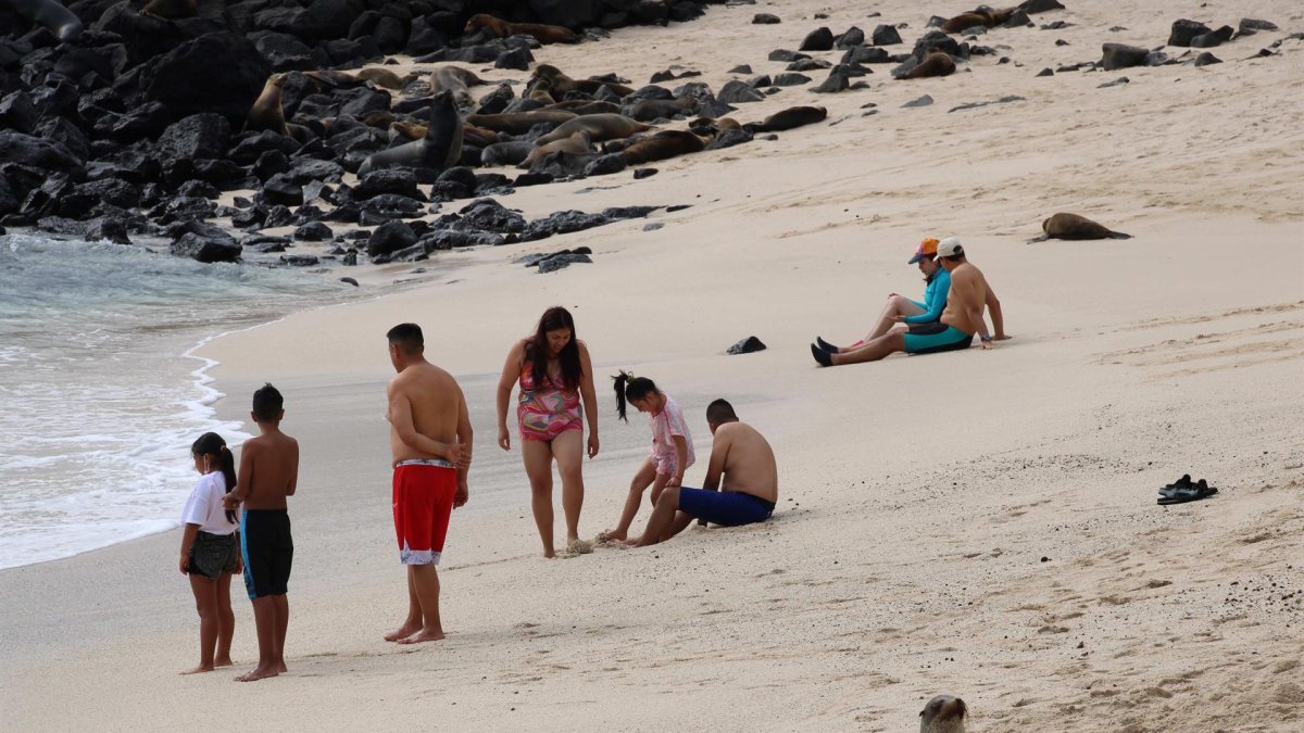 Dos lobos marinos y un grupo de personas disfrutan de la playa Mann, el 20 de agosto de 2021, en la isla San Cristóbal, Archipiélago Galápagos (Ecuador).
