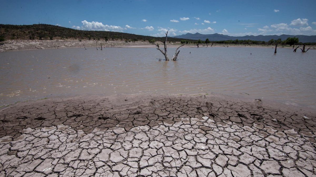 Vista general de las afectaciones por la sequía, el 16 de junio de 2021, en la comunidad de Rincón Colorado, en el municipio de General Cepeda, en Coahuila (México).