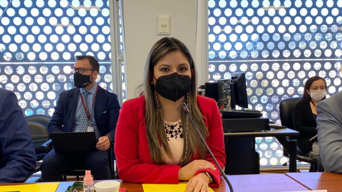 La consejera Rivadeneira interpuso la acción de acceso a la información.