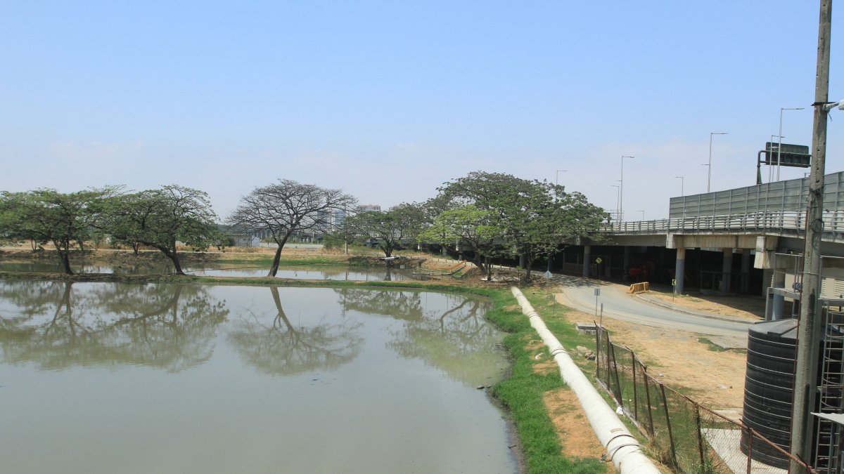 Los malos olores. Se han llegado a percibir a lo largo del puente que une a La Puntilla con Guayaquil.