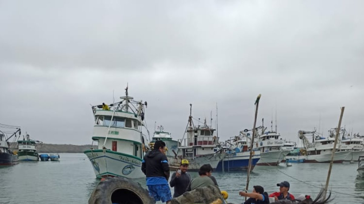 Hecho. Casi cinco toneladas de basura marina fue extraída.
