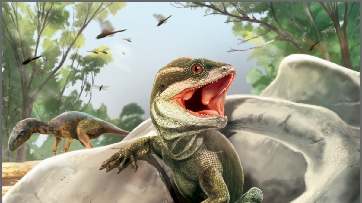 Reconstrucción de Taytalura en su hábitat natural con la conífera extinta Rhexoxylon en Ischigualasto (Argentina), durante el Triásico Superior.