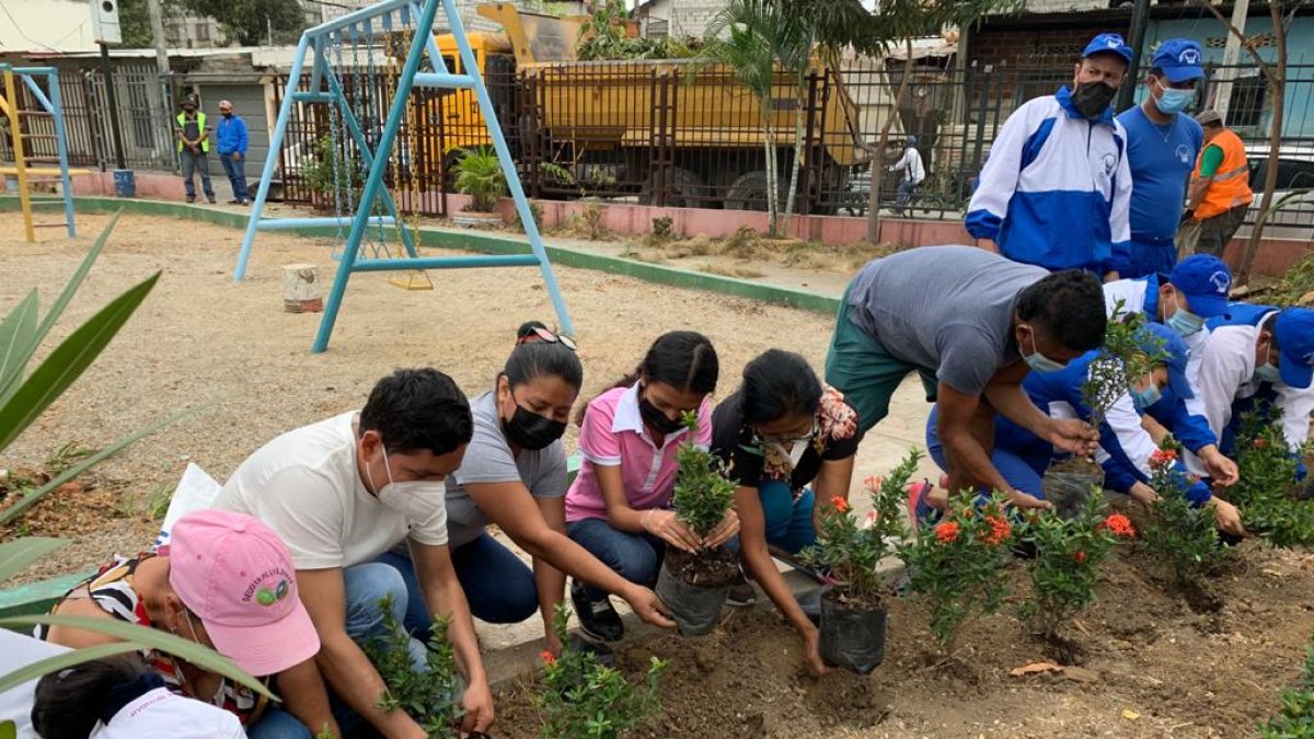 Situación. Casi 30 comités se comprometieron al cuidado de los espacios.