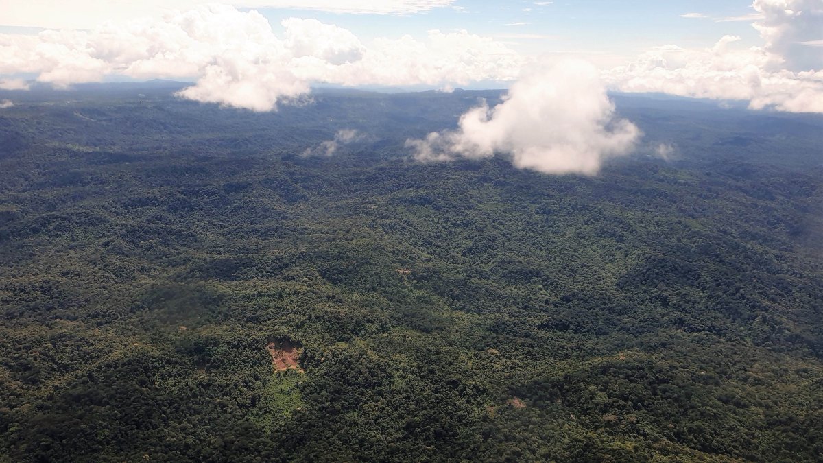 Fotografía de archivo del 18 de junio de 2020 que muestra una vista aérea de una zona boscosa de la Amazonía ecuatoriana, en la provincia de Pastaza, fronteriza con Perú (Ecuador).