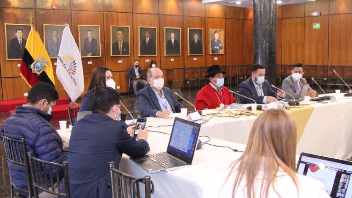 El Consejo de Administración Legislativa (CAL) calificó dos de las tres denuncias presentadas en contra de Bella Jiménez el 25 de agosto pasado