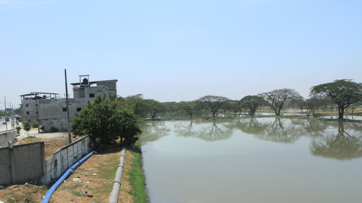 Las lagunas. Los malos olores se perciben hasta en La Puntilla.