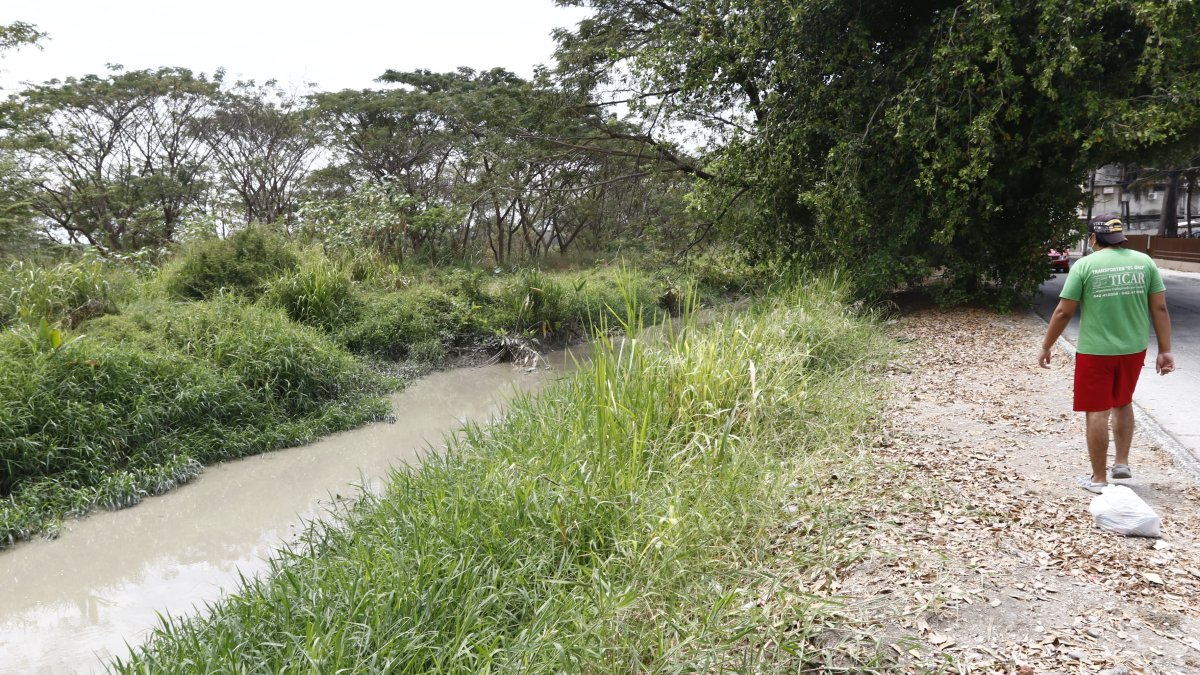 La zanja que divide a las ciudadelas Guayacanes y Samanes es un botadero de desechos que emana malos olores y se ha convertido en un sitio donde se producen accidentes de tránsito.