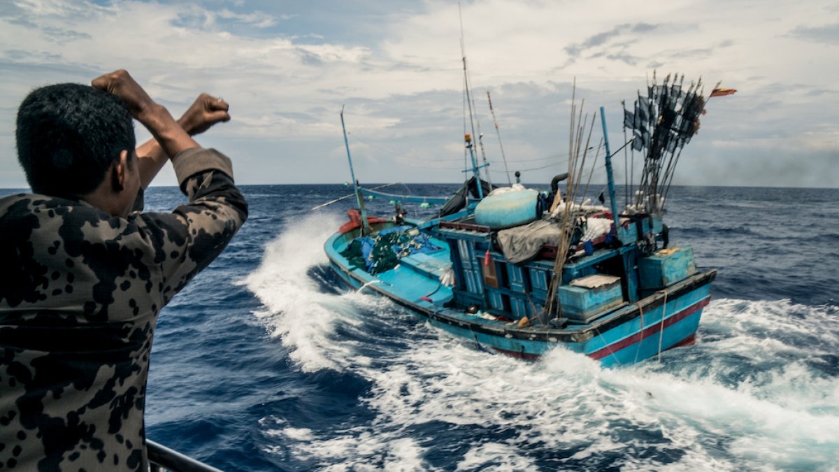 Investigadores piden a los gobiernos que 