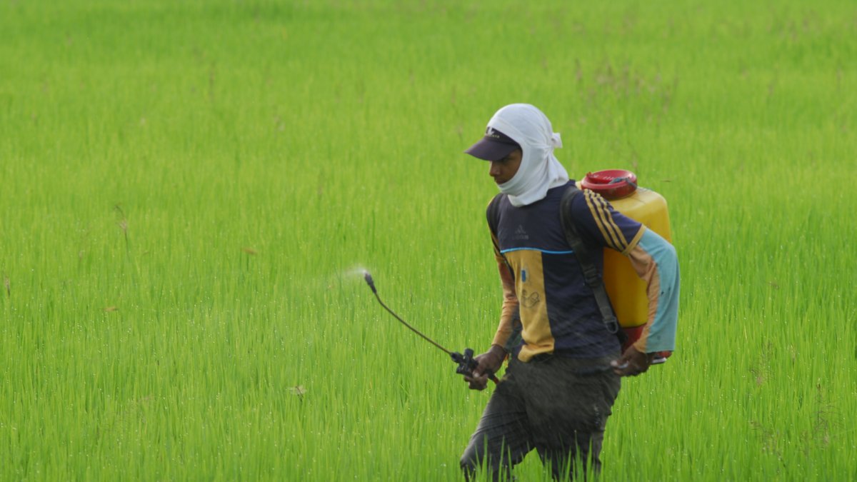 Los insecticidas también suben de precio.