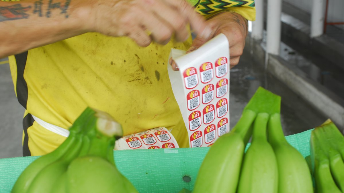 La producción nacional exportable está afectada por el frío.