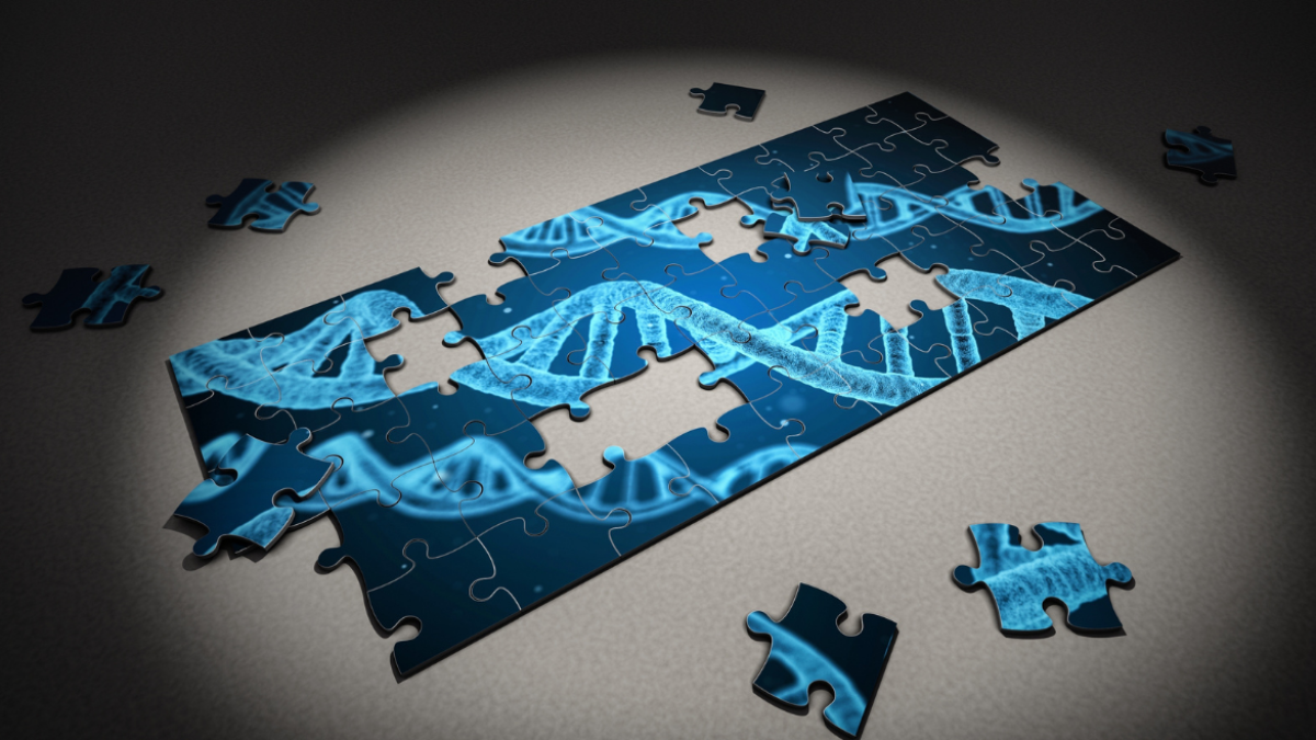 La nueva investigación le pertenece a Gil McVean, de la Universidad de Oxford (Reino Unido).