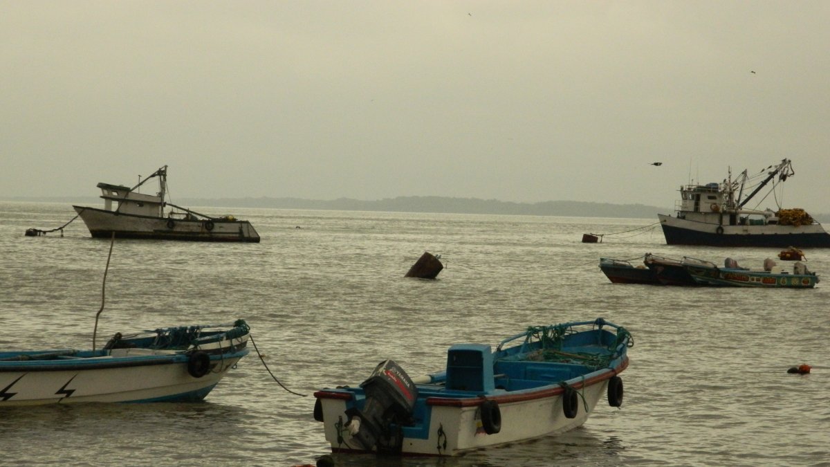 Los dueños de las embarcaciones se quejan por las multas impuestas en la normativa