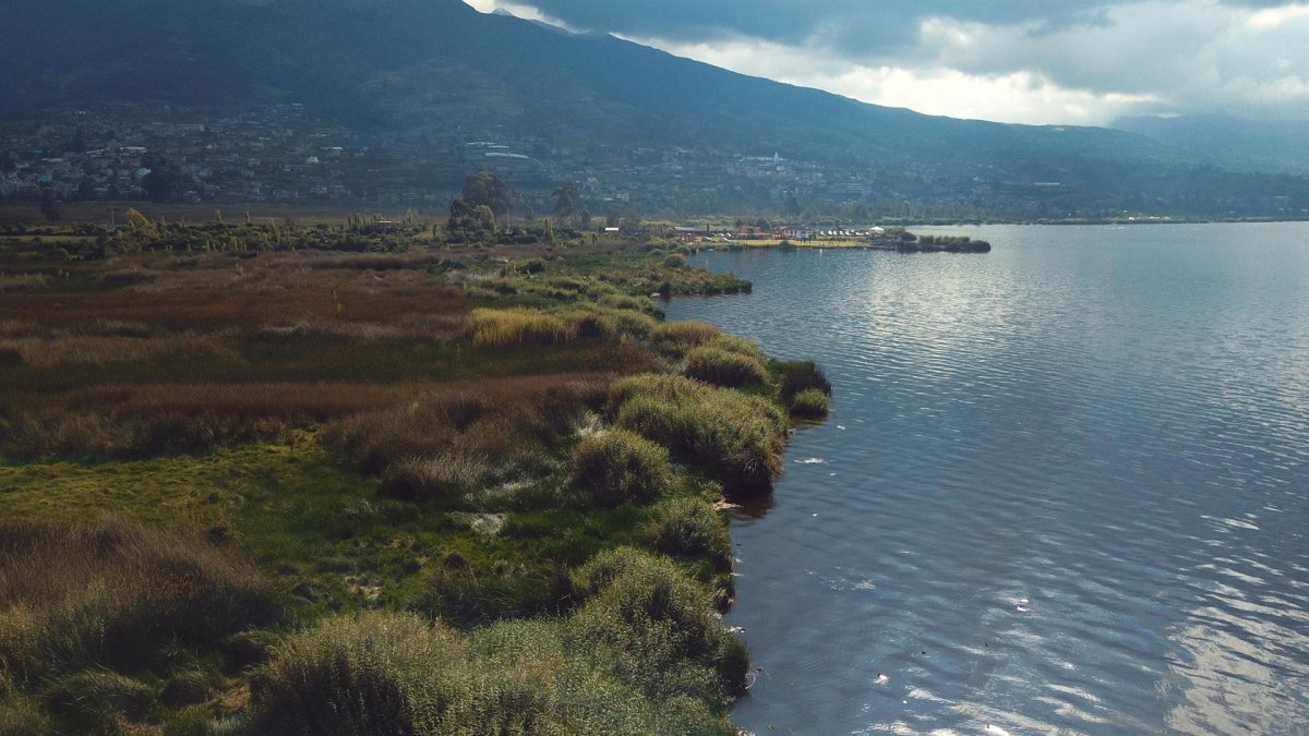 Fotografía sin fecha cedida por el Ministerio del Ambiente, Agua y Transición Ecológica de Ecuador que muestra la provincia andina de Imbabura (Ecuador).