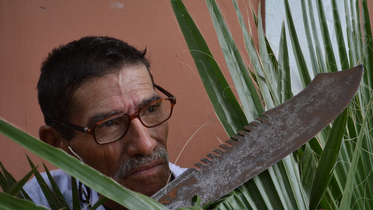 Antonio Mehler nació en Ecuador