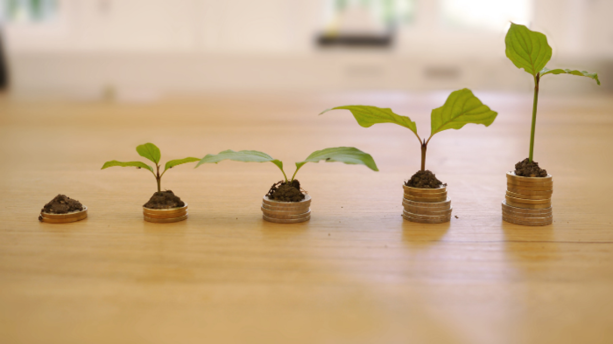 Referencial, créditos.