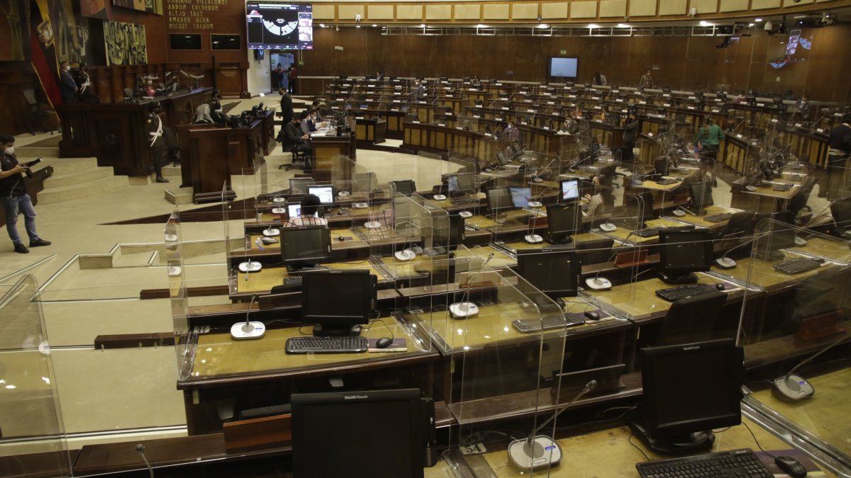 Más de 50 proyectos de ley han sido planteados por los asambleístas en algo más de cuatro semanas de trabajo.