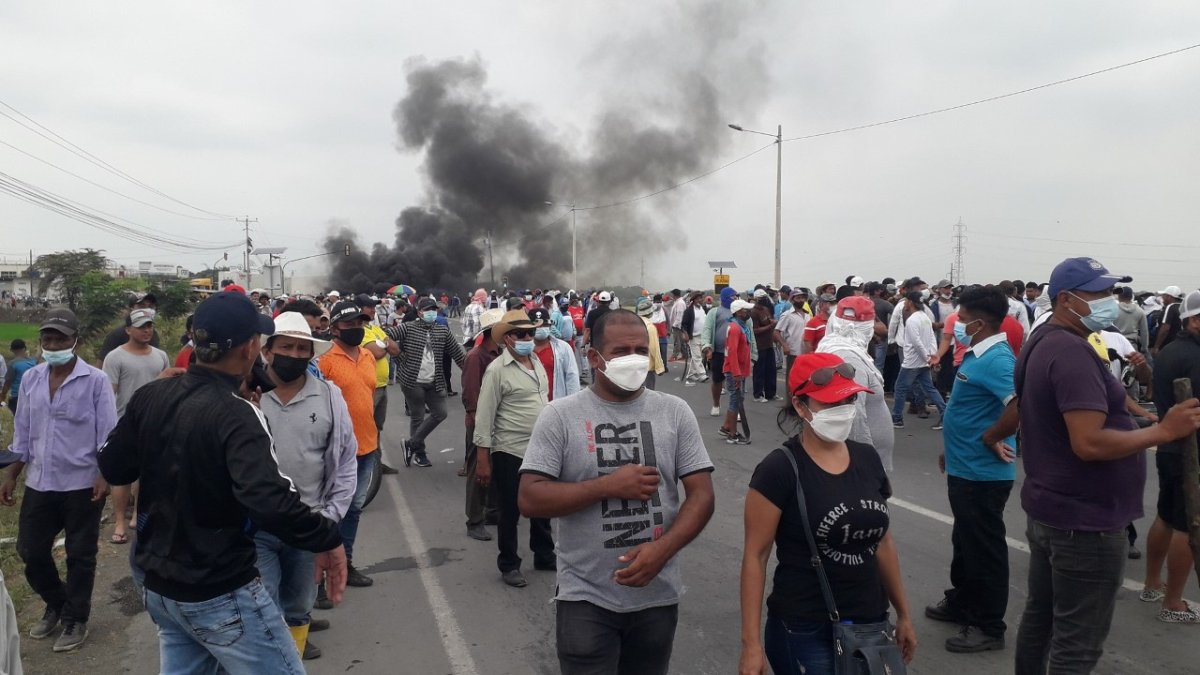 Los productores quieren que se suba el precio.