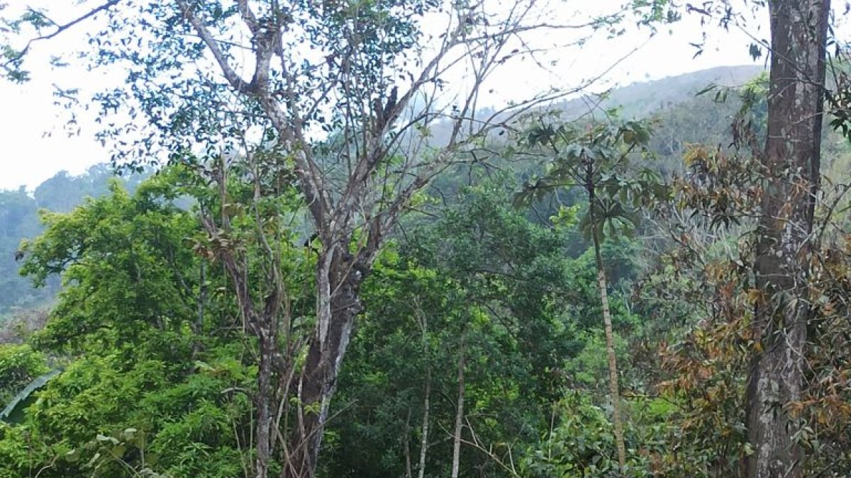 Operaciones. Los militares encontraron material destinado a la actividad minera.