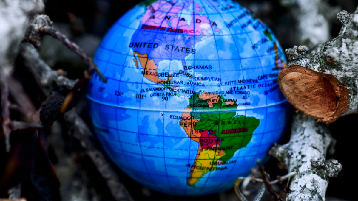 Foto referencial - migración.