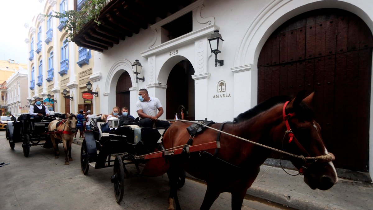 Los animales son un atractivo turístico en Cartagena. El oficio de cocheros es una tradición.