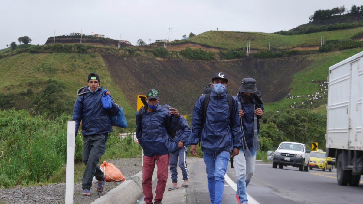 Grupos de migrantes venezolanos caminan por una carretera en la región de Tulcán (Ecuador).