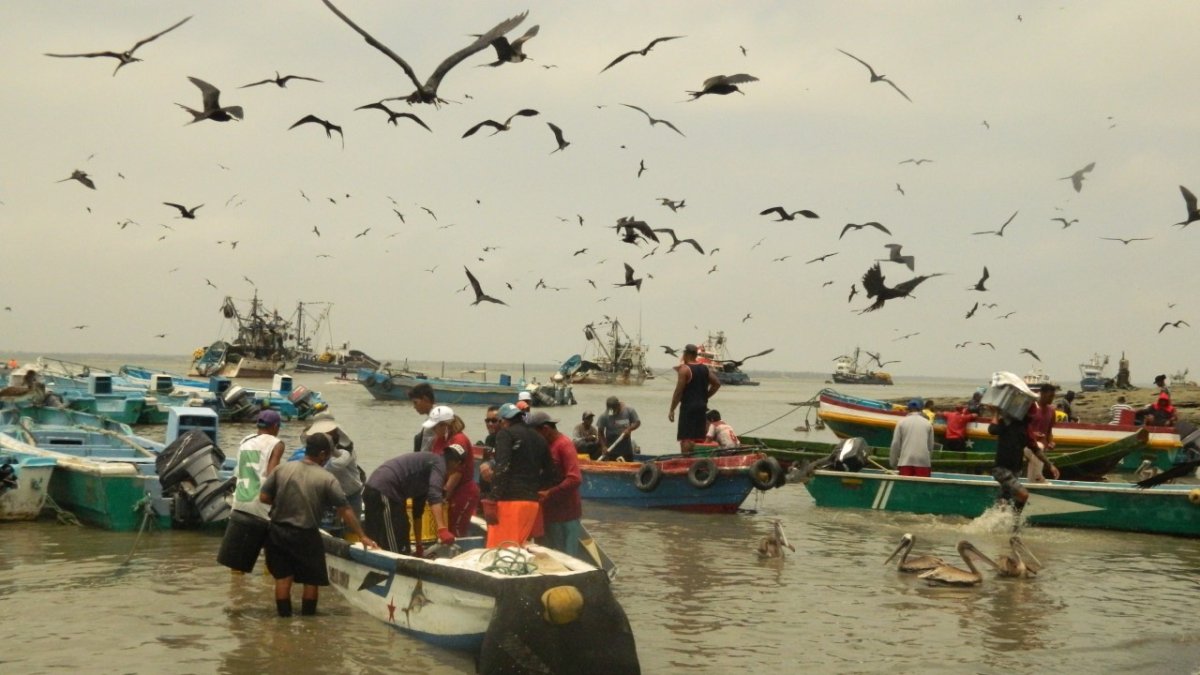 Los artesanos vieron con optimismo la capacitación proporcionada por la OMI.