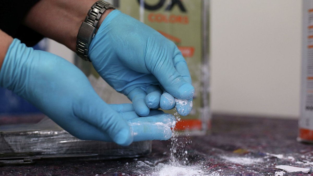 En el sitio se encontraron 380 kilos de cocaína, 390 gramos de marihuana, dos armas de fuego, 73.000 dólares, una lancha, teléfonos móviles y radios de comunicación, entre otras evidencias.