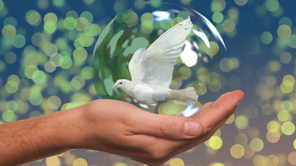 Día internacional de la paz.