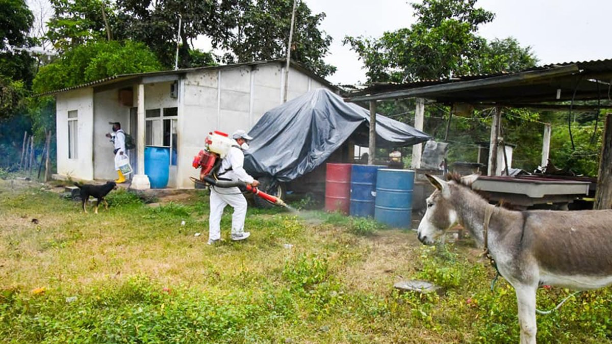 Fumigaciones son contempladas para combatir al Aedes aegypti.
