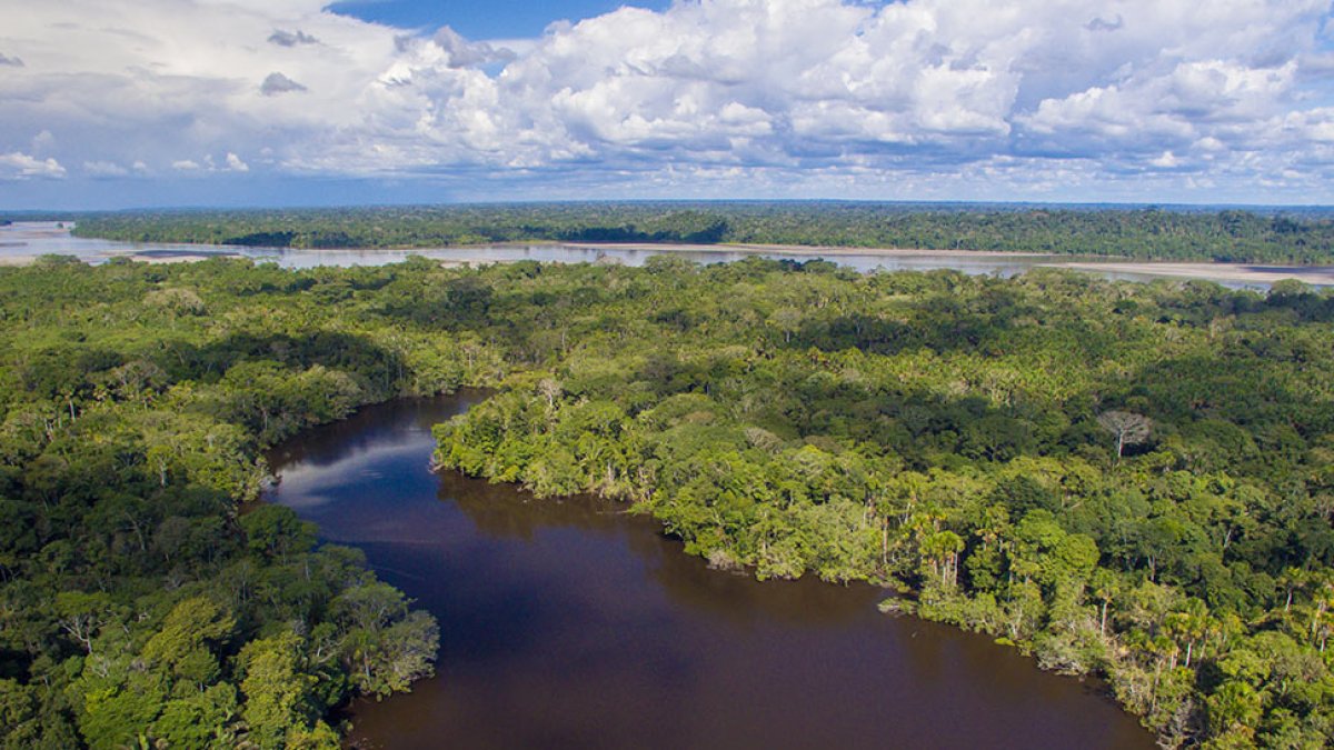 Parque Nacional Yasuní.