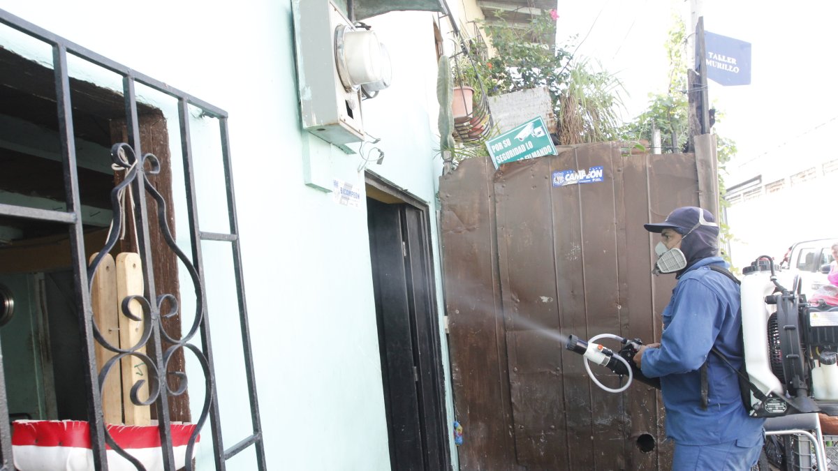 Parte de las estrategias del MSP está la fumigación en los exteriores e interiores de los domicilios.