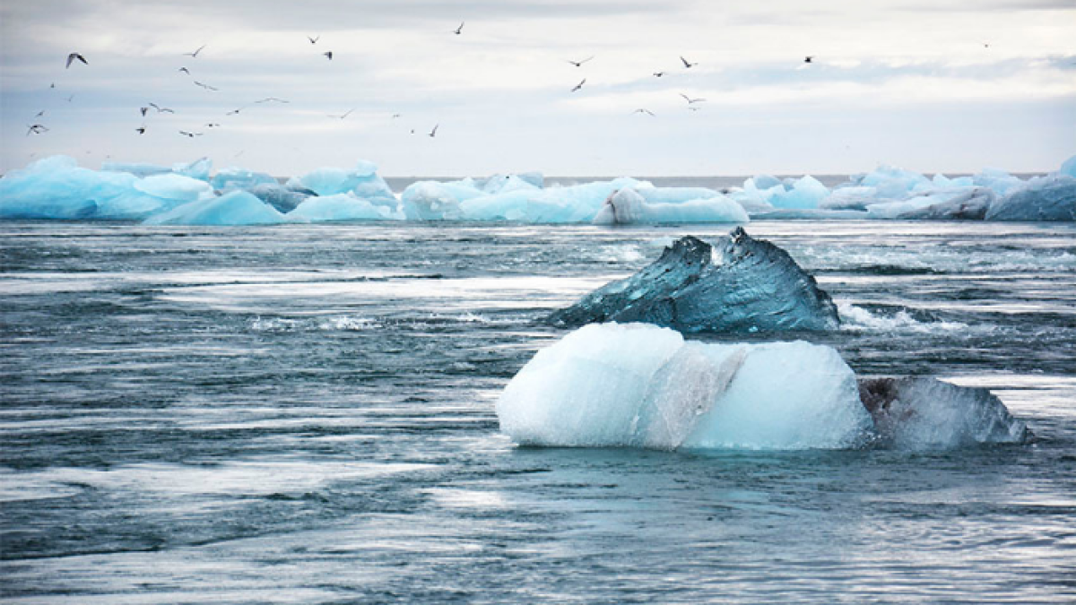 El cambio climático podría ser la causa enfermedades a futuro