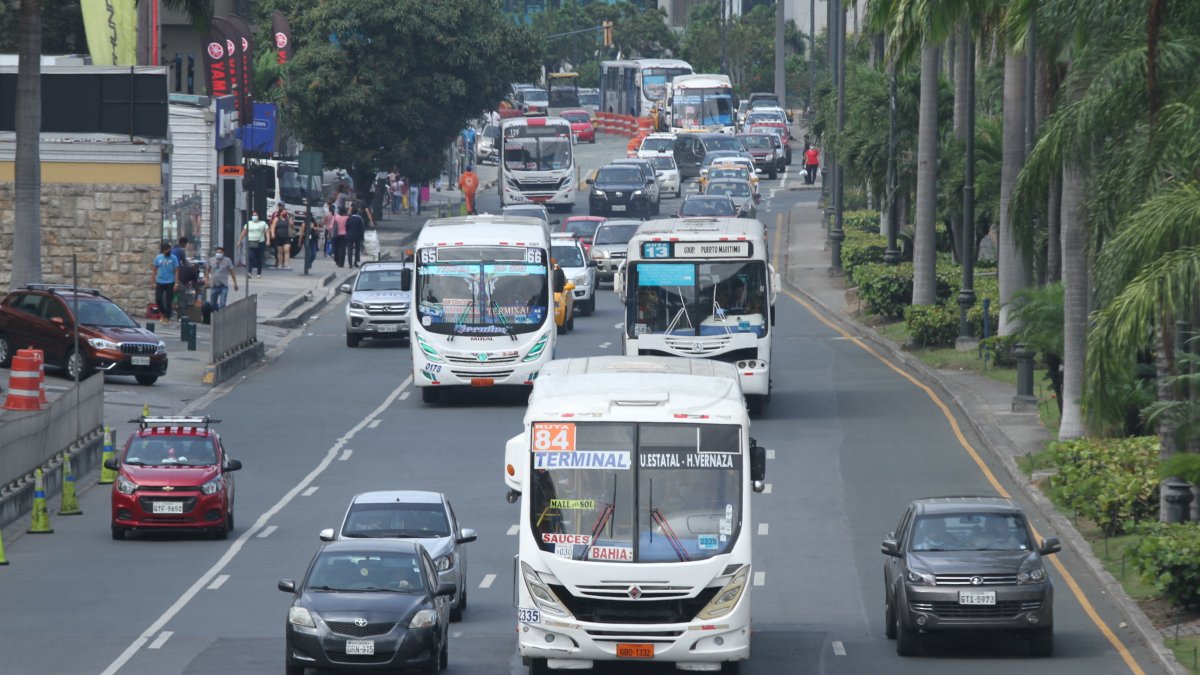 Transporte. Algunos de los buses urbanos que circulan en Guayaquil.