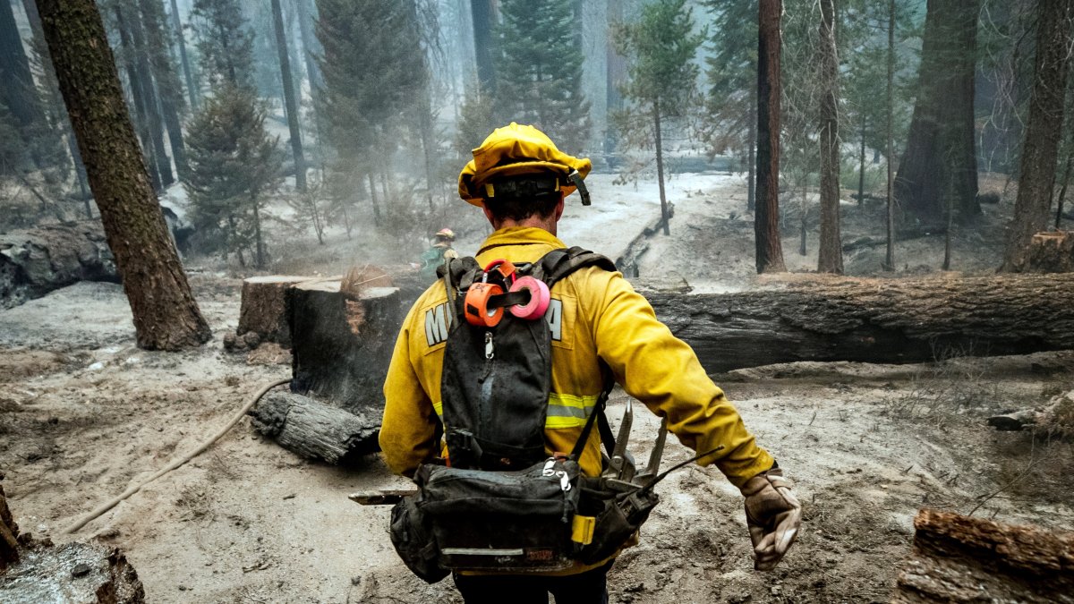 Los grandes incendios forestales en varias regiones del mundo han provocado un cambio en el clima, lo que afecta la salud humana. ETIENNE LAURENT / EFE