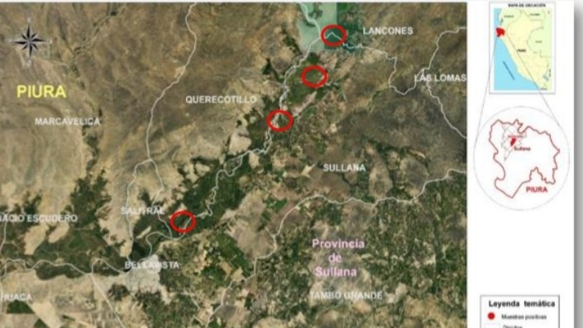 Estas son las zonas afectadas.