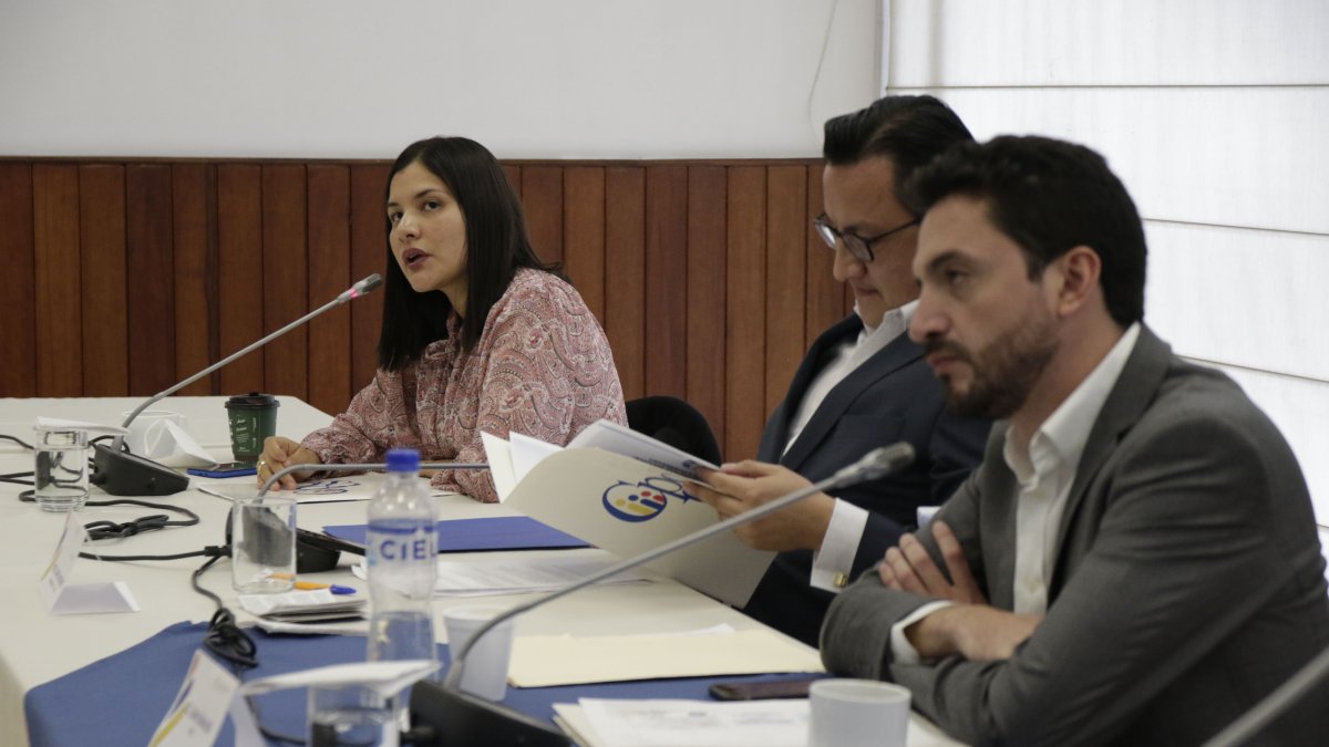 La presidenta Sofía Almeida, socialcristiana; el vicepresidente David Rosero, maoísta, y el consejero correísta Juan Javier Dávalos.