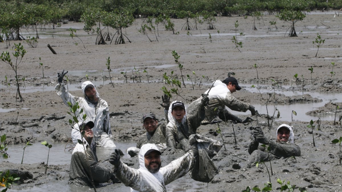 Acto. Así fue como los voluntarios y trabajadores sembraron las  plántulas.