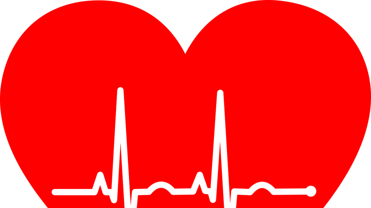 Hoy se celebra en todo el mundo el día de este órgano