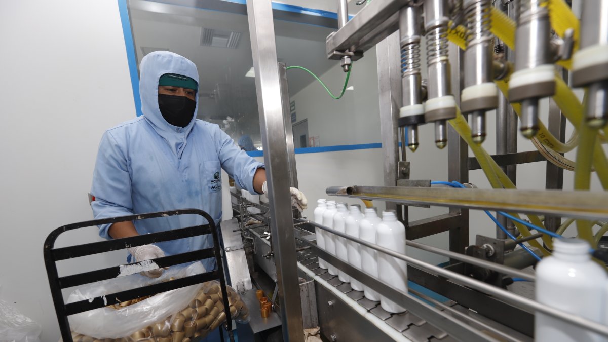 Molerpa. Esta industria ha debido esperar hasta seis semanas para recibir la materia prima que emplea en la fabricación de productos veterinarios.  