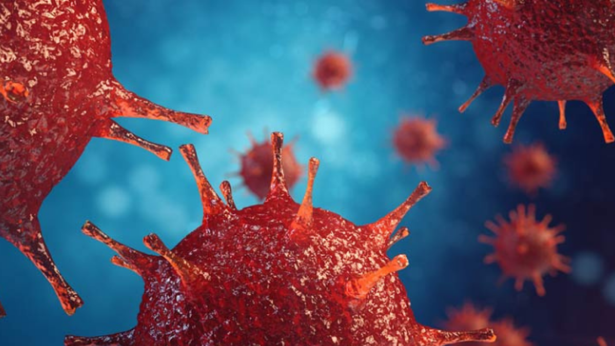 El 1 de diciembre se celebra el día mundial sin VIH.