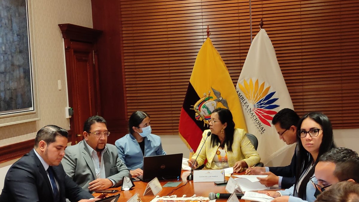 Votación. Con cinco votos a favor y dos en contra, el CAL se inclinó por la devolución del proyecto del Ejecutivo.