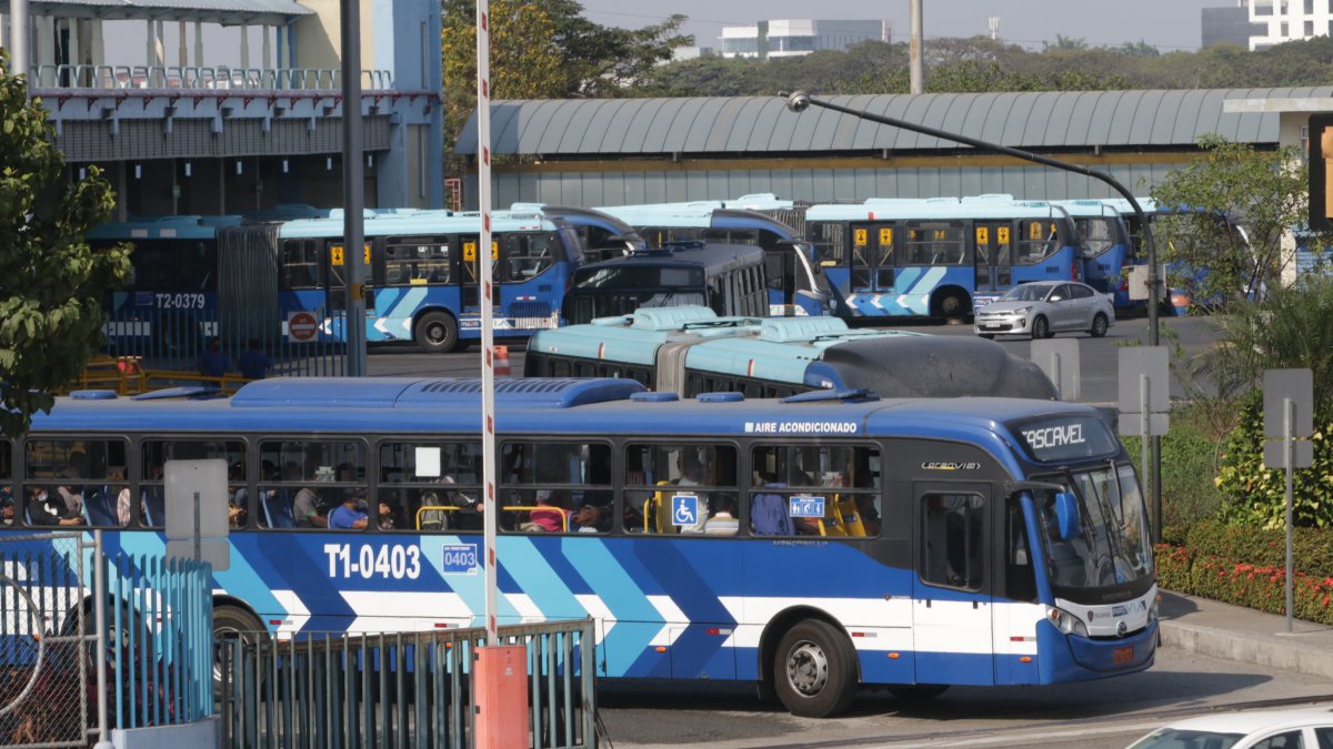 Argumento. El Cabildo justifica que es “necesario salvaguardar y garantizar” la sostenibilidad de la operación del servicio público que presta el sistema.