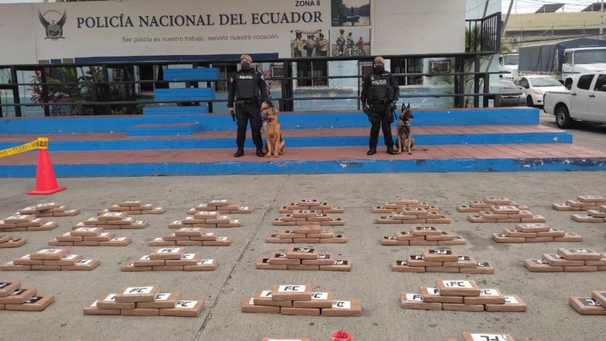 Los 950 paquetes rectangulares hallados en uno de los containers que esperaban ser llevados a Eutopa.
