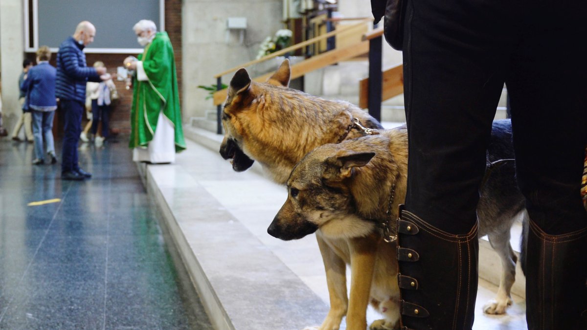 El rescate de los animales es una tarea muy dura, dice el experto.  Nacho Gallego / EFE