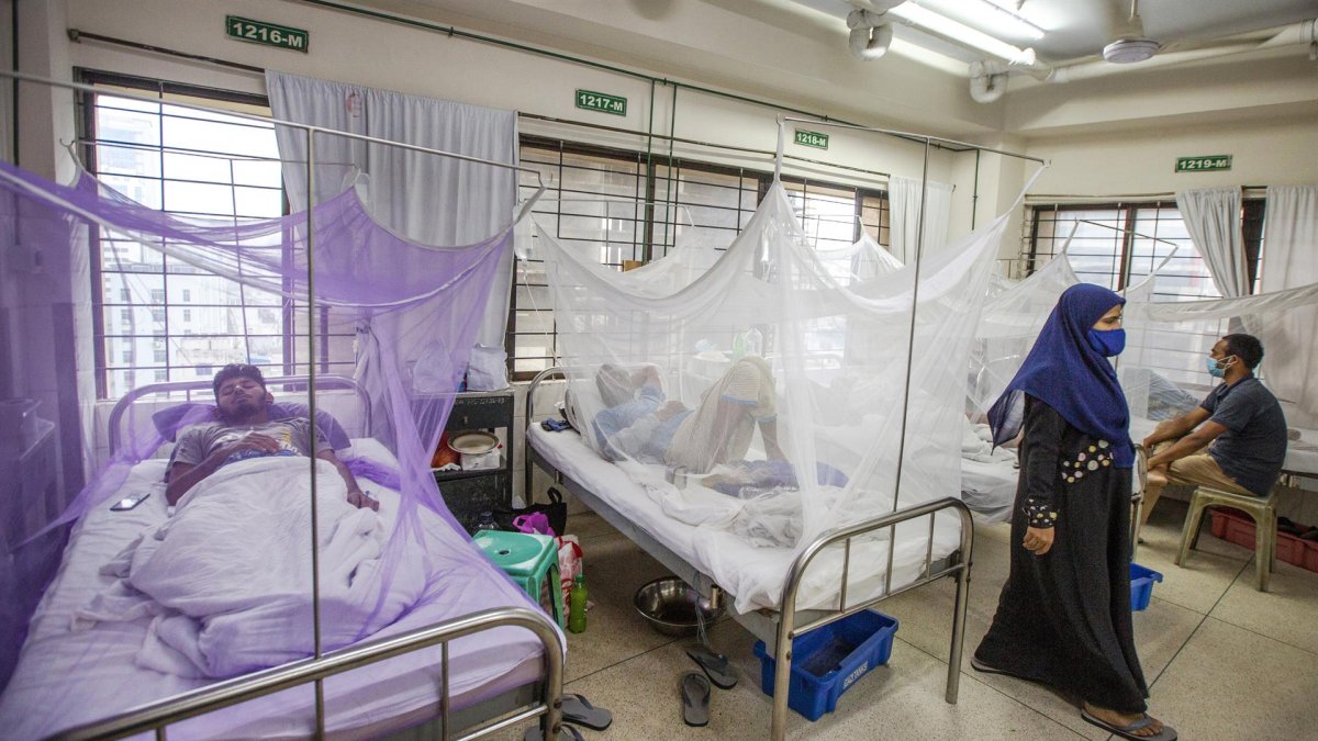 Enfermedades
Ciencia y tecnología » Investigación » Estudio
Imagen del archivo, tomada en julio del 2021, de pacientes de dengue en un hospital de Dakha (Bangladés).