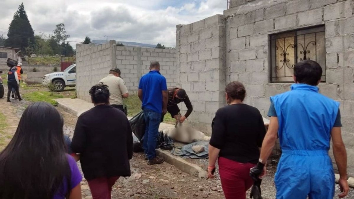 Procedimiento. El Personal de la Unidad de Bienestar Animal hace el levantamiento de los cadáveres caninos.